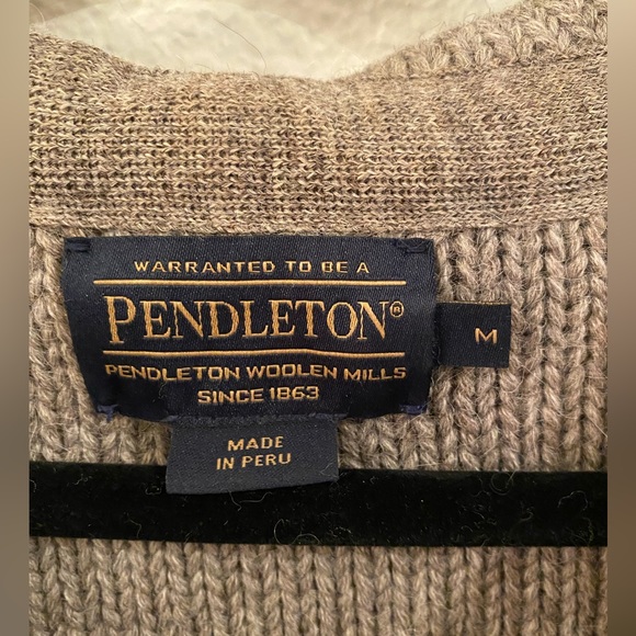 Pendleton men’s sweater;size M; 1/4 button up; hooded; striped - Picture 5 of 5